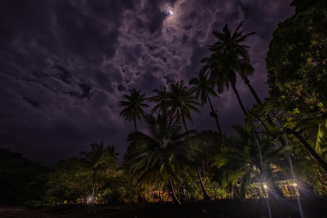 Mapara Crab Lodge Bahia Solano Kültér fotó