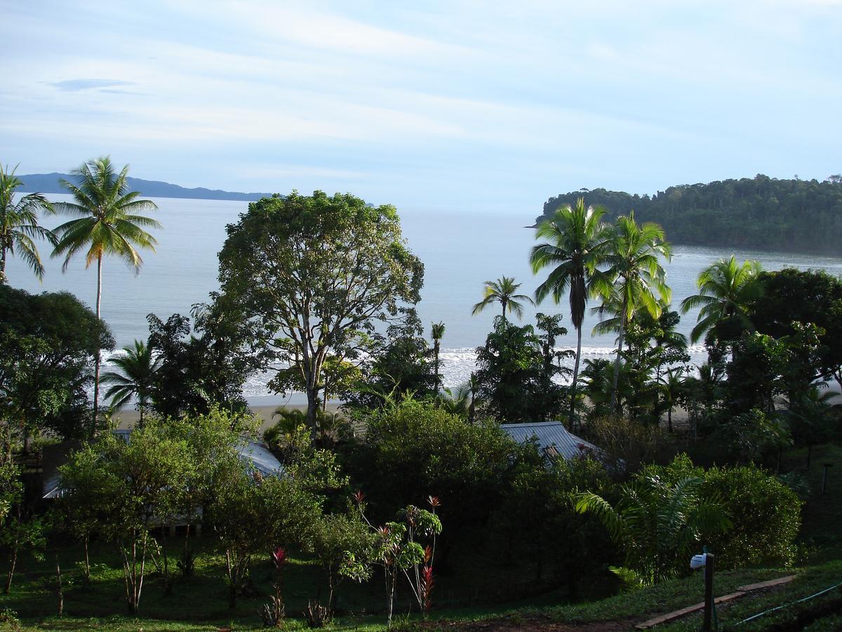 Mapara Crab Lodge Bahia Solano Kültér fotó