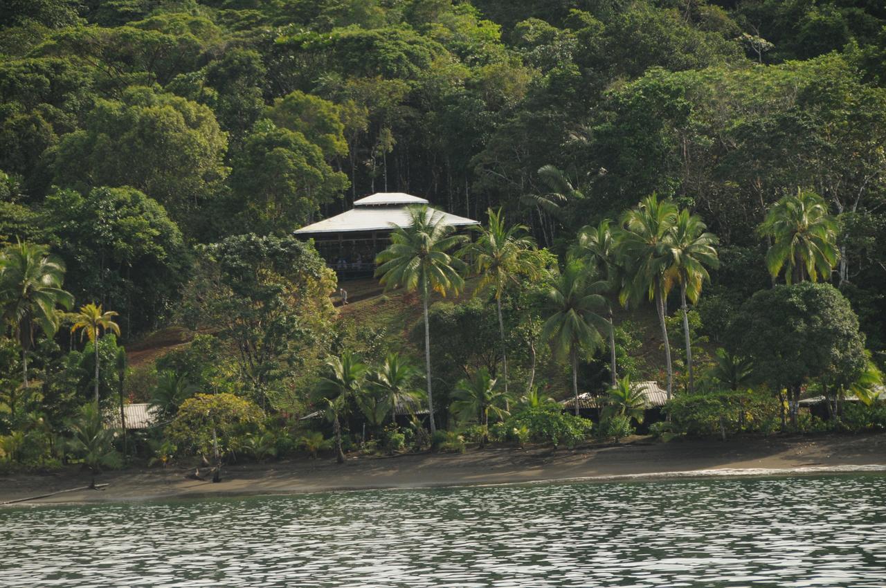 Mapara Crab Lodge Bahia Solano Kültér fotó