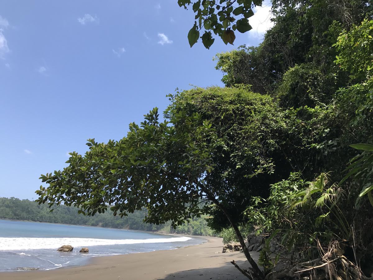 Mapara Crab Lodge Bahia Solano Kültér fotó